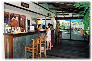 Cairns backpackers
